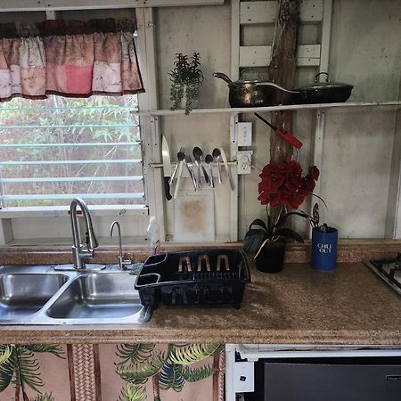 Cabin 2-Rustic Private Stay Near Volcano National Park Fern Forest Екстериор снимка