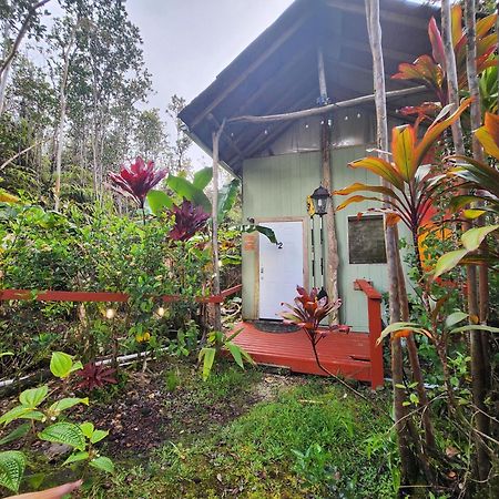 Cabin 2-Rustic Private Stay Near Volcano National Park Fern Forest Екстериор снимка