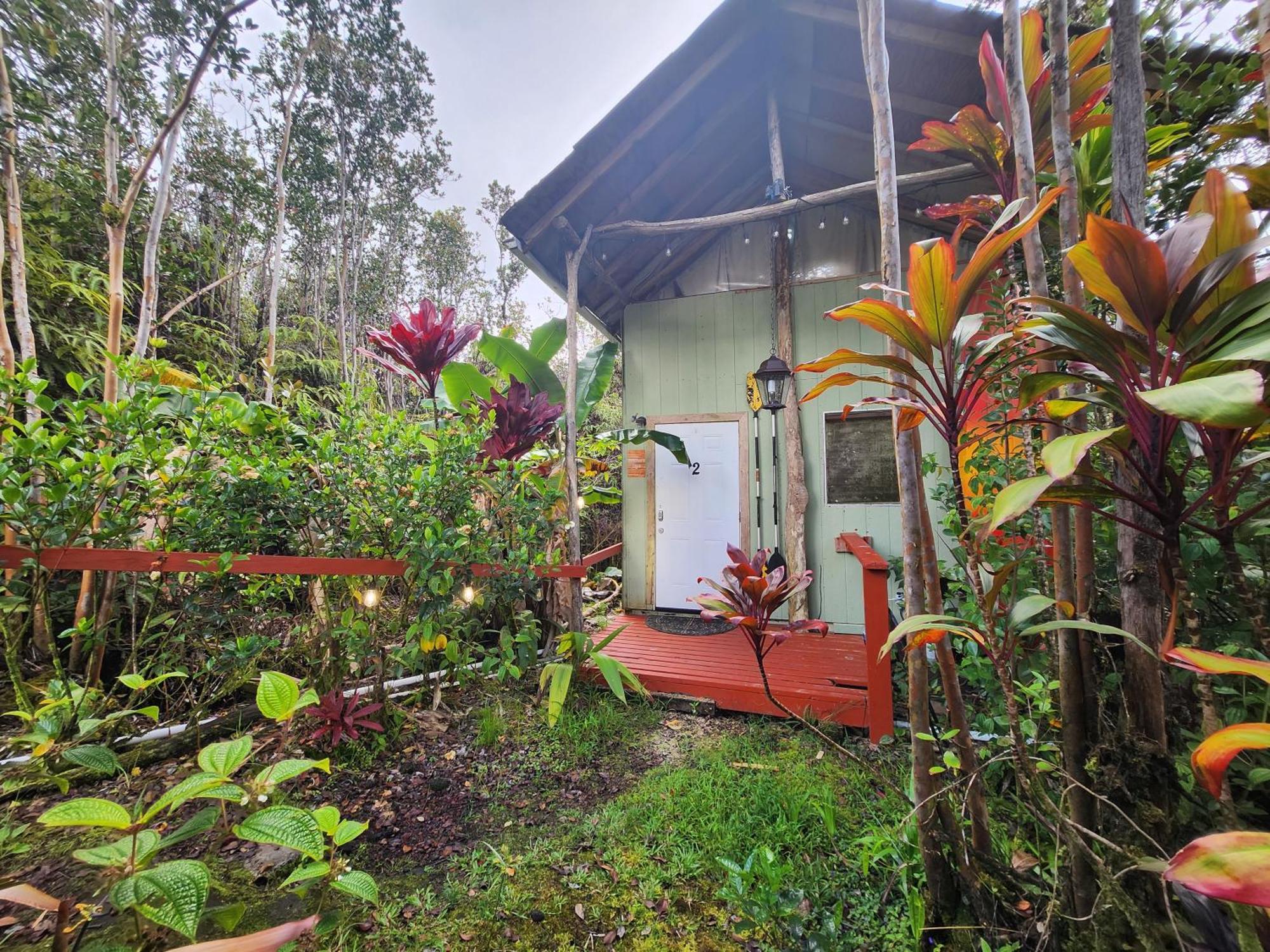 Cabin 2-Rustic Private Stay Near Volcano National Park Fern Forest Екстериор снимка